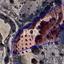 land for sale polemi paphos 1597092 thumbnail 5647462
