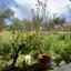 land for sale tersefanou larnaca 7872092 thumbnail 11384093