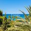 4 bedroom detached house for sale poli chrysochous paphos 7812192 thumbnail 10637807