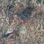 land for sale agia varvara paphos 1472192 thumbnail 15599186