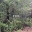 land for sale moniatis limassol 1185192 thumbnail 5567064
