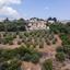 land for sale psathi paphos 8532192 thumbnail 16306676