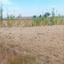 plot for sale potamia nicosia 8139192 thumbnail 13385900