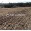 land for sale pano deftera nicosia 1578292 thumbnail 6011606