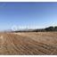 land for sale pano deftera nicosia 1578292 thumbnail 6011630