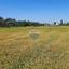 plot for sale psimolofou nicosia 7842292 thumbnail 15357332