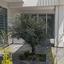 3 bedroom detached house for sale limassol marina limassol 7514392 thumbnail 9400767