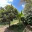 3 bedroom detached house for sale tala paphos 1898392 thumbnail 14215620