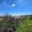 4 bedroom detached house for rent lofou limassol 8587392 thumbnail 15684588