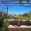 4 bedroom detached house for rent lofou limassol 8587392 thumbnail 15684590