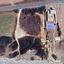 land for sale maroni larnaca 1448492 thumbnail 4940629