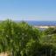 2 bedroom apartment for sale coral bay paphos 1681592 thumbnail 4377195