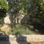 2 bedroom detached house for sale choulou paphos 9009592 thumbnail 18400256