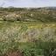 land for sale pachna limassol 944592 thumbnail 15600571