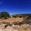 6689 SQM Land for sale in Pachna, Limassol thumbnail 16333368