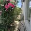 4 bedroom detached house for rent oroklini larnaca 8592692 thumbnail 15756407