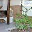 4 bedroom detached house for rent strovolos nicosia 1862692 thumbnail 16182236