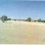 land for sale agios theodoros larnacas larnaca 7870692 thumbnail 11378958