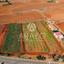 land for sale frenaros famagusta 7921692 thumbnail 11222145