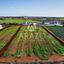 land for sale frenaros famagusta 7921692 thumbnail 11222151