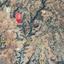 land for sale sotira lemesou limassol 8630792 thumbnail 16530731