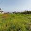 plot for sale germasogeia limassol 8373792 thumbnail 16672504