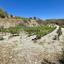 4014 SQM Land for sale in Agios Georgios Silikou, Limassol thumbnail 16553273