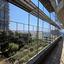 2 bedroom apartment for sale agios tychonas limassol 8946892 thumbnail 17761446
