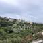 3 bedroom detached house for sale mesogi paphos 8857892 thumbnail 17154296