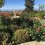 4 bedroom detached house for sale vouni limassol 1682892 thumbnail 15720677