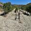 land for sale agios georgios silikou limassol 1924892 thumbnail 17373486