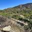 land for sale agios georgios silikou limassol 1924892 thumbnail 17373489