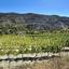 land for sale agios georgios silikou limassol 1924892 thumbnail 17373493