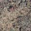 land for sale polemi paphos 8664892 thumbnail 17009092
