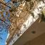 studio building for sale platy aglantzias nicosia 7921992 thumbnail 11229689