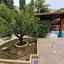 5 bedroom detached house for sale potamos germasogeias limassol 7792003 thumbnail 10454616