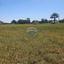 plot for sale psimolofou nicosia 8659003 thumbnail 17081579