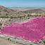16550 SQM Land for sale in Agia Marina Xyliatou, Nicosia thumbnail 13624911