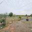 4 bedroom bungalow for sale anarita paphos 7937103 thumbnail 11292479
