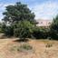 6 bedroom detached house for sale kato lakatamia nicosia 1073103 thumbnail 16246438