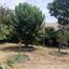 6 bedroom detached house for sale kato lakatamia nicosia 1073103 thumbnail 16246439