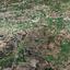 land for sale alampra nicosia 8946103 thumbnail 17699028