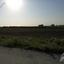 land for sale softades larnaca 7906103 thumbnail 16423008