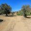 plot for sale kornos larnaca 7543103 thumbnail 10410744