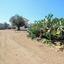 plot for sale kornos larnaca 7543103 thumbnail 10410756