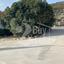 4 bedroom detached house for sale laneia limassol 1544303 thumbnail 3836032