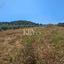 land for sale pano lefkara larnaca 8890403 thumbnail 17319644