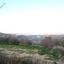 land for sale tsada paphos 8395403 thumbnail 14819067