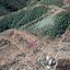 land for sale pigenia nicosia 1057603 thumbnail 10013946