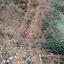 land for sale pigenia nicosia 1057603 thumbnail 10013948